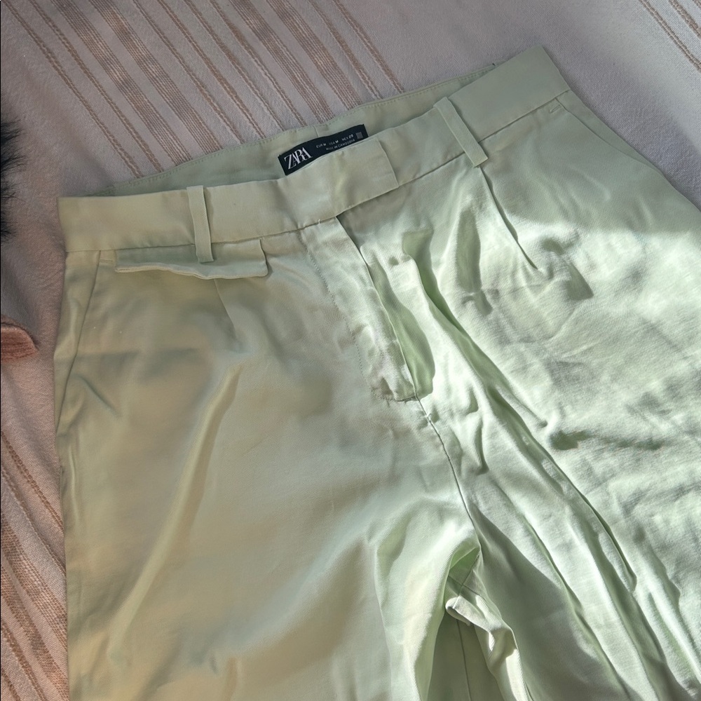 Zara Mint Green Trousers